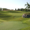 Fossil Trace GC: 2nd green